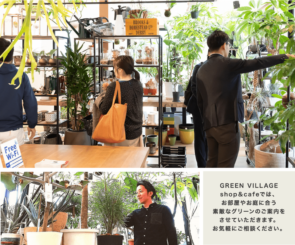 GREEN VILLAGE グリーンビレッジ